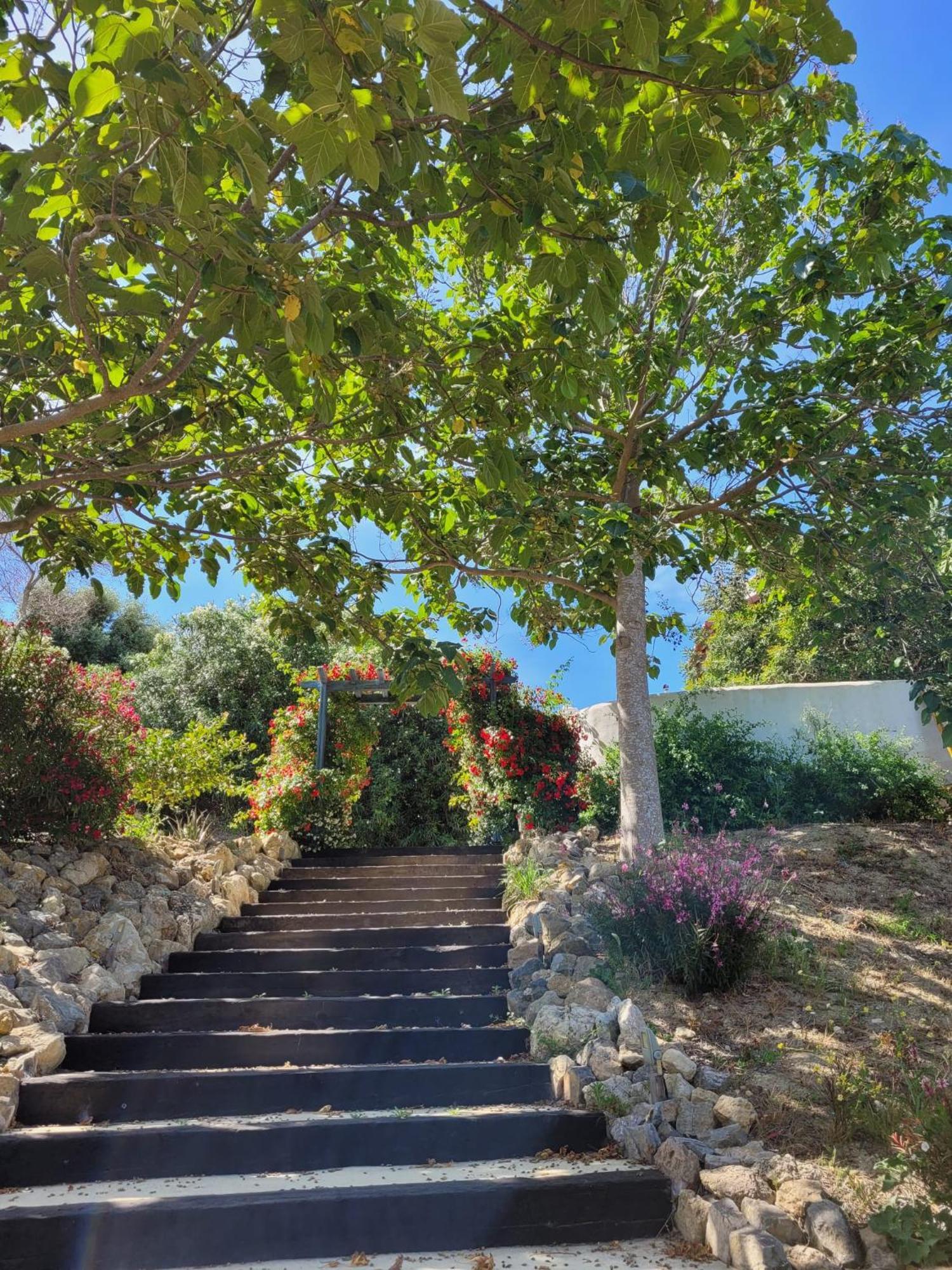 Hotel Sindhura Vejer de la Frontera Dış mekan fotoğraf