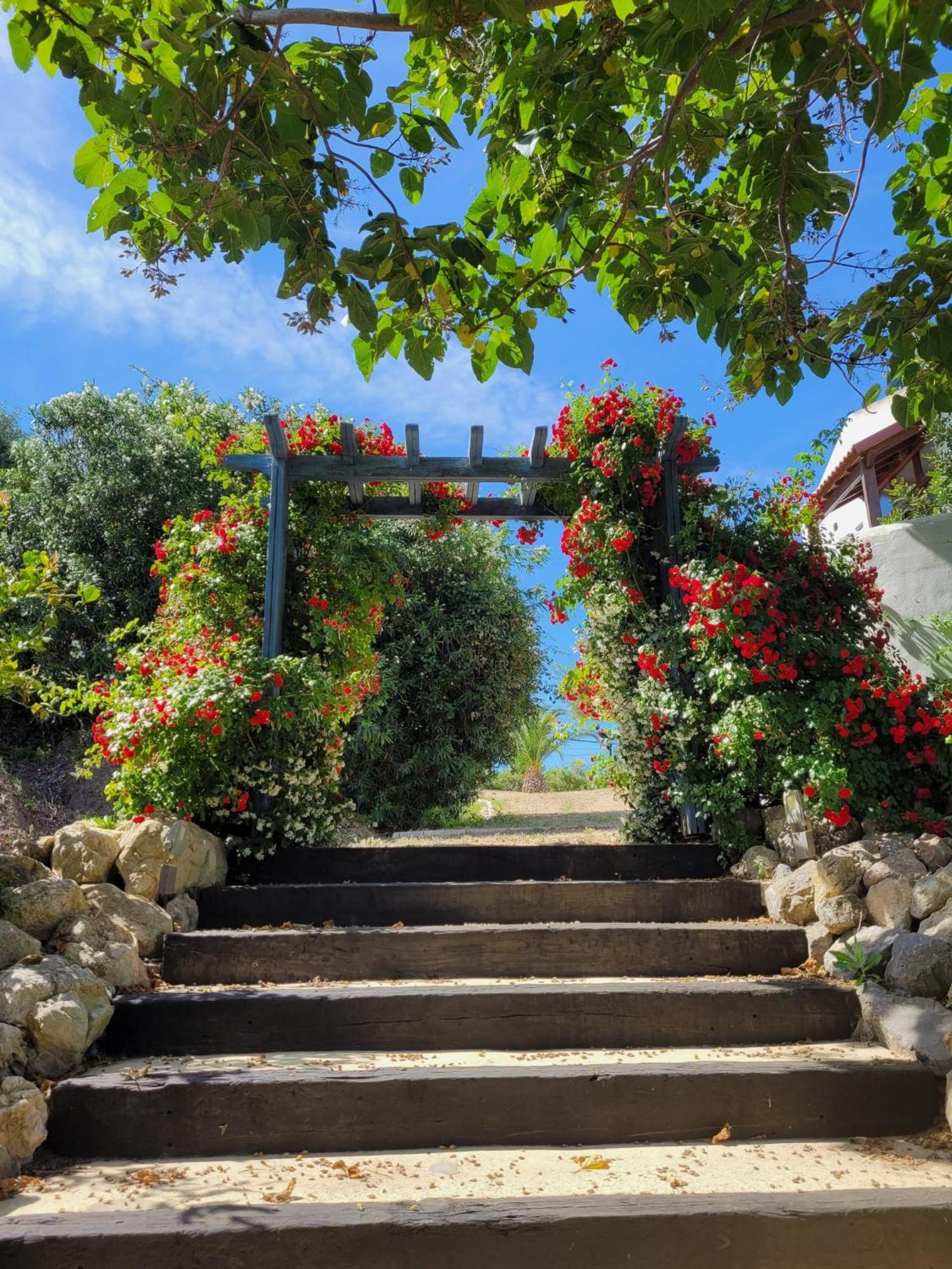 Hotel Sindhura Vejer de la Frontera Dış mekan fotoğraf